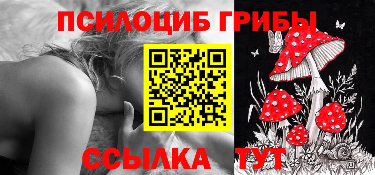 Псилоцибиновые грибы Psilocybine cubensis  Псилоцибиновые грибы мицелий  Добрянка  Вход с VPN 